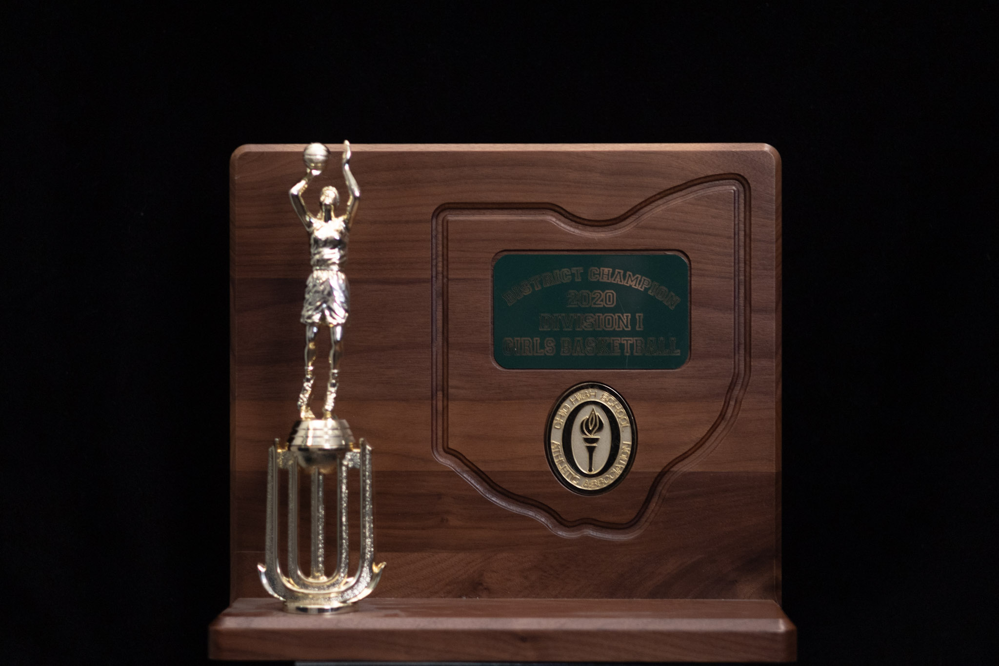 Girls Basketball 2020 Division l District Champions